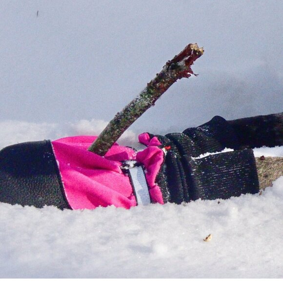 Muttluks Dog Boots Black and Pink Size Small - Picture 7 of 7